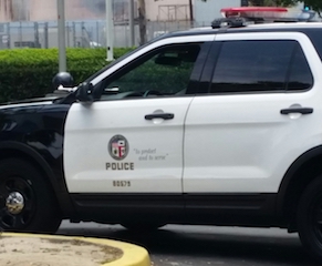 LAPD Cruiser