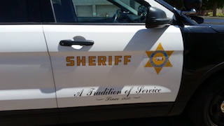 LA Sheriff's Car Door Emblem